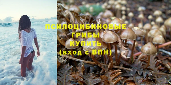 a pvp Вязьма