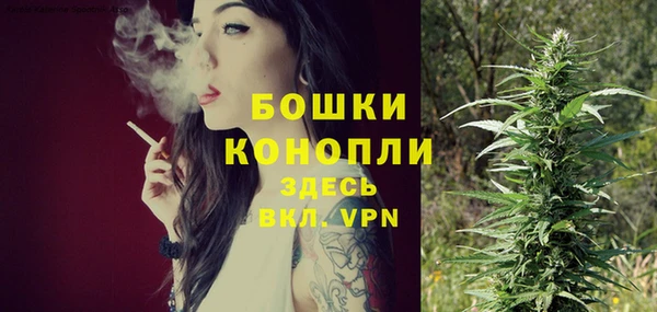 spice Вяземский
